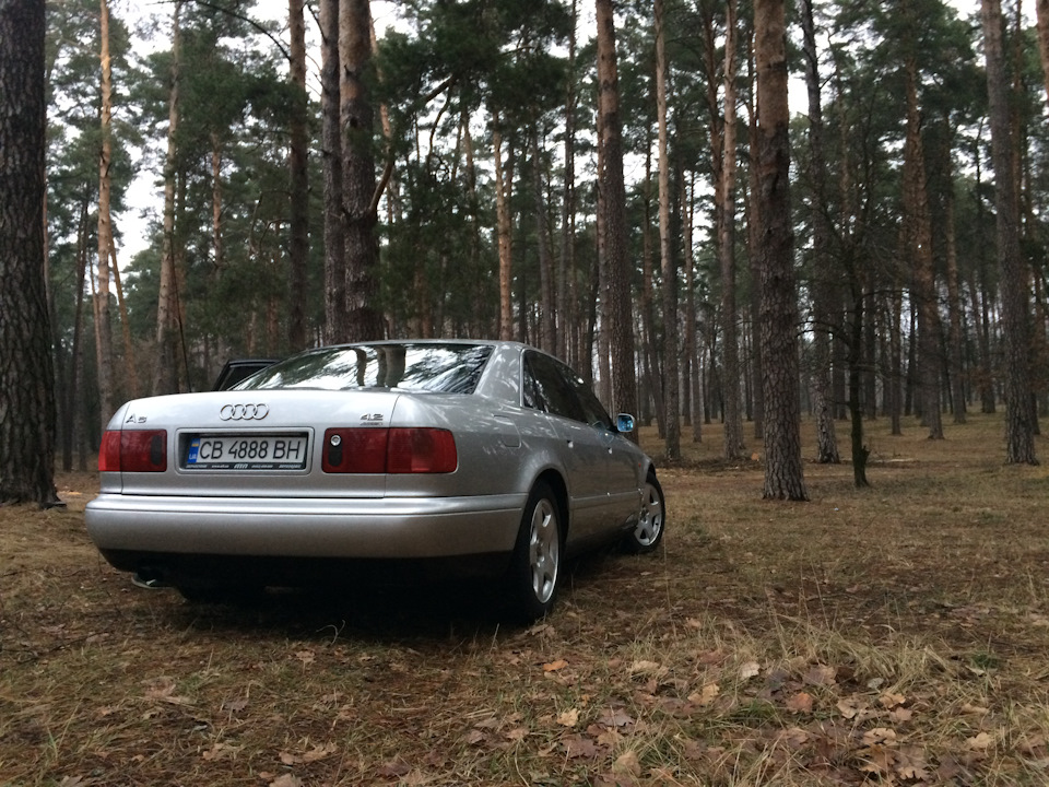 Авоська сіра каструля) перша фотосесія! 2