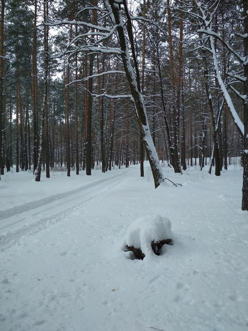 Quattro погода) 5