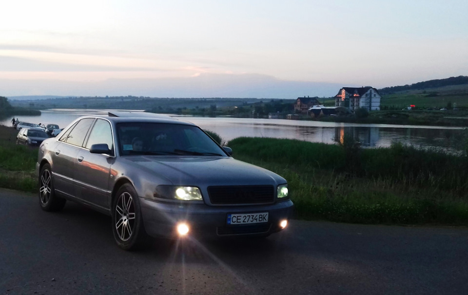 Ось і закінчилася історія Авоська вирушила на службу до іншої сім'ї! 2