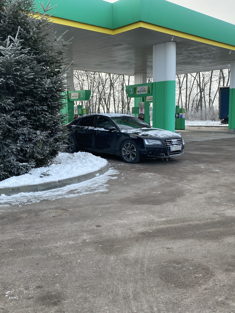 Приїхали сім'єю на лижню 🕺 3