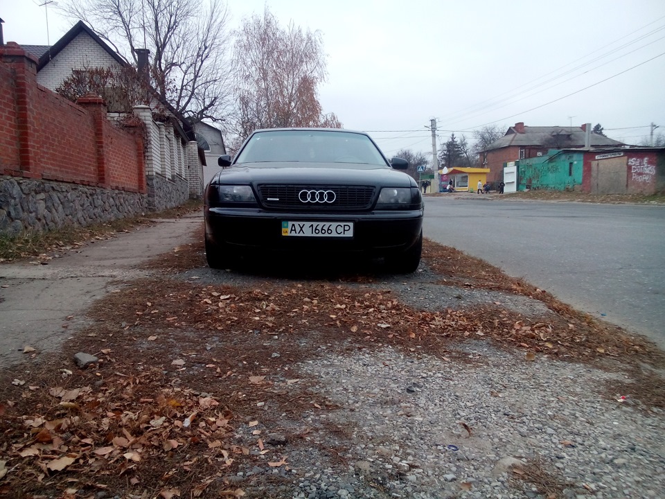Освіжив мордочка! 2