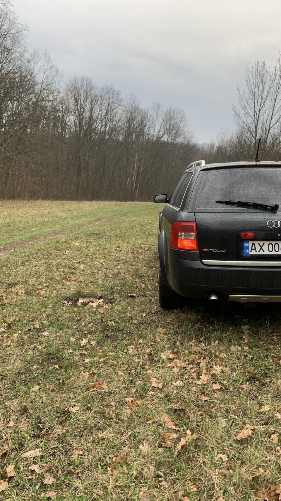 Трохи свіжих фоток 5
