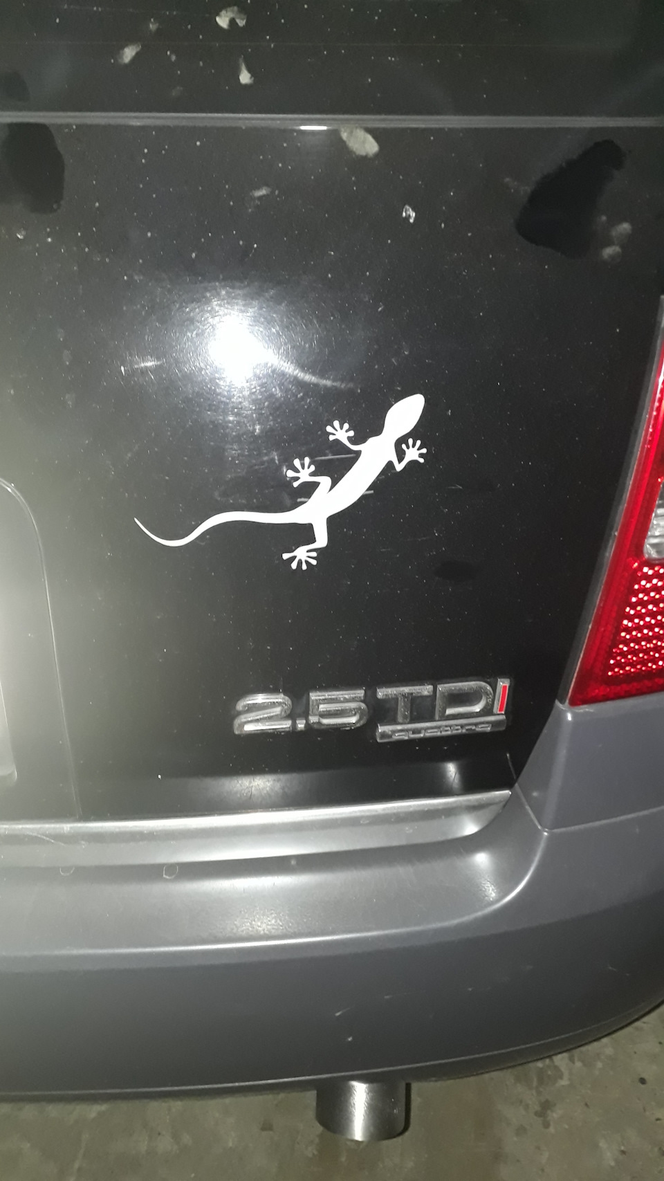 Адаптація 1