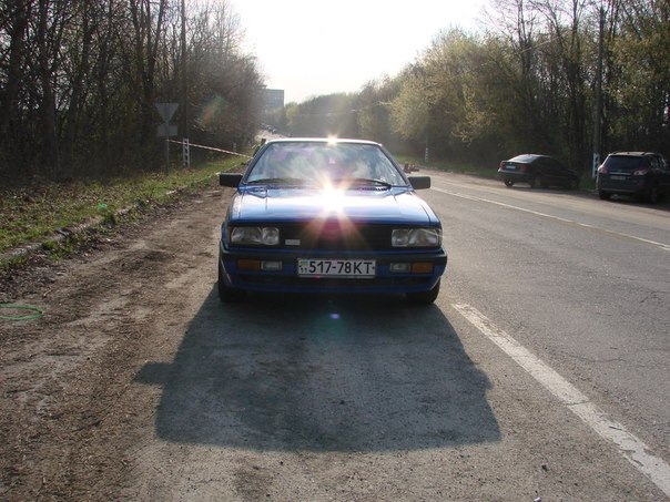 Покотушки 1