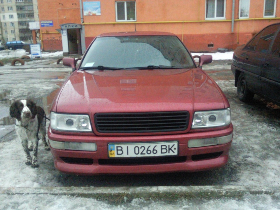 Весняні подарунки. 3