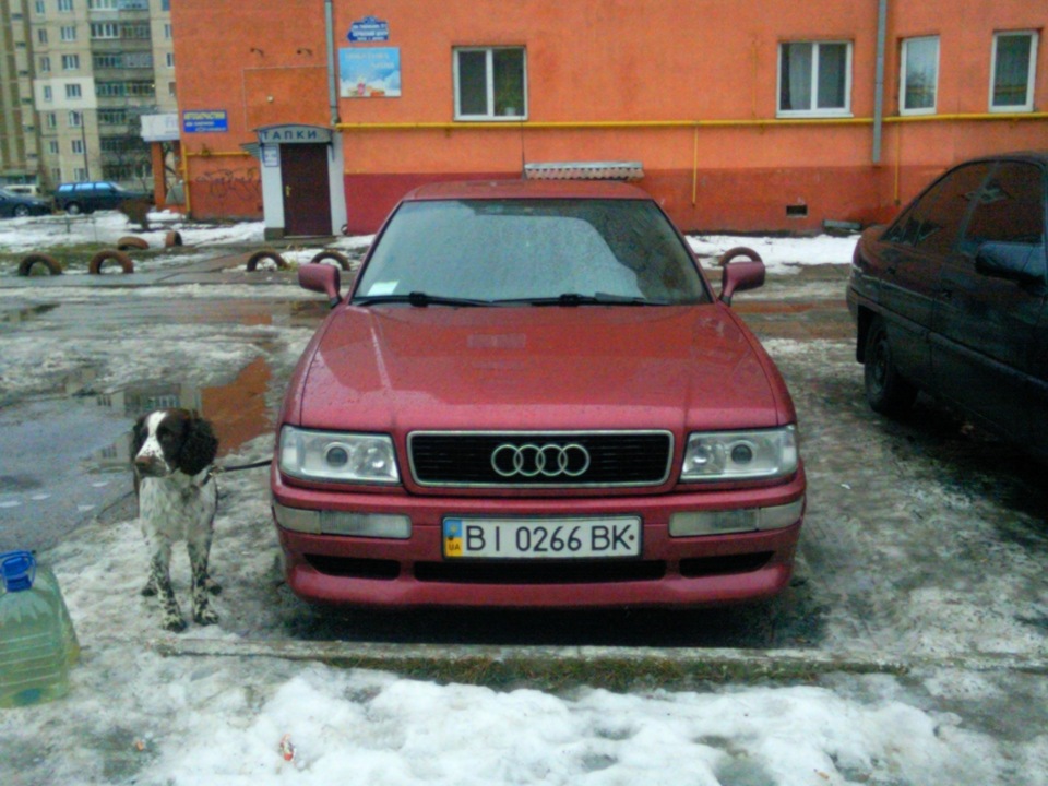 Весняні подарунки. 1