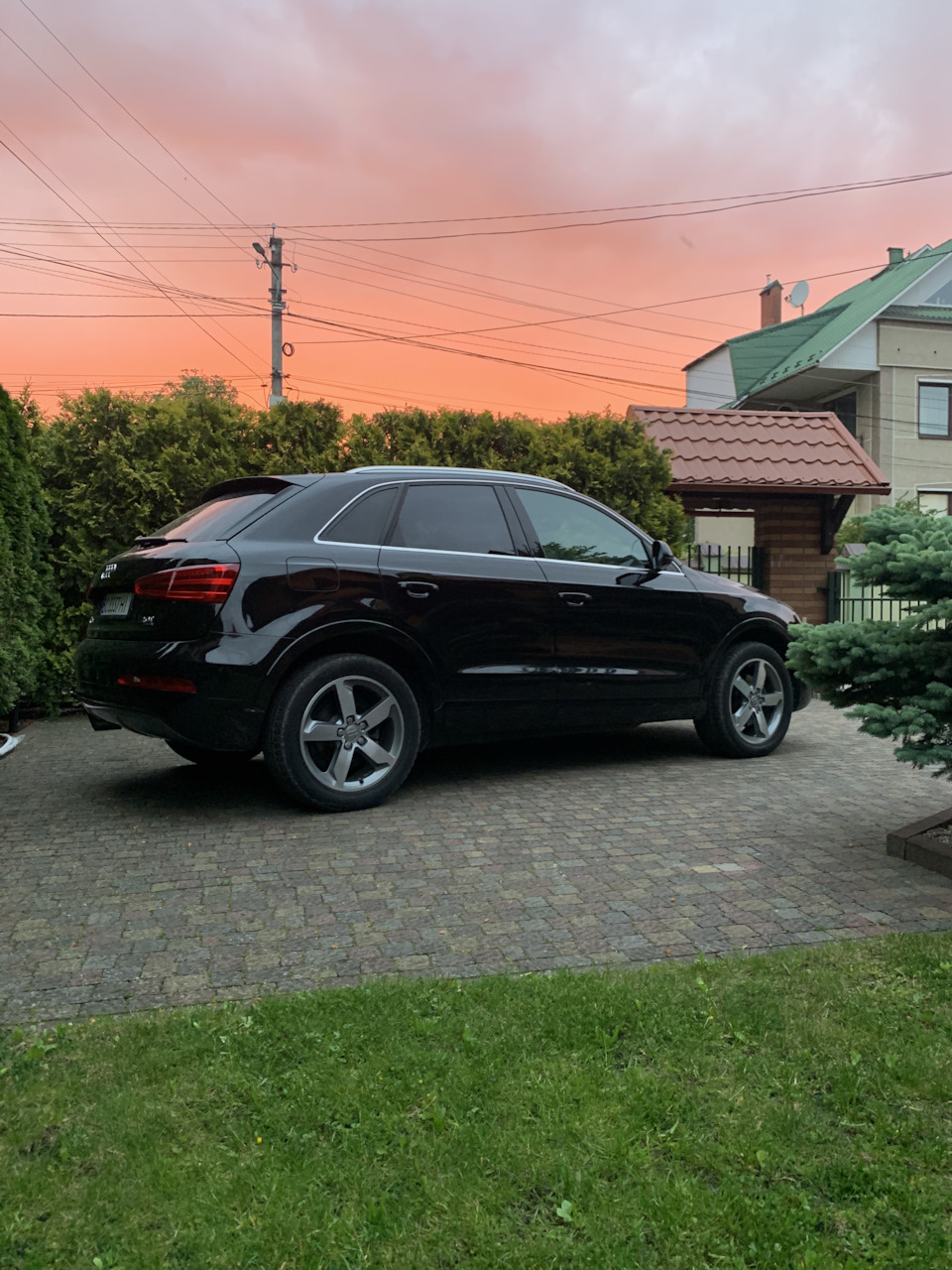 Віддав у добрі руки 1