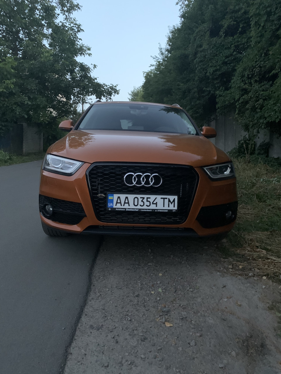 Ставити сітку під Ґрати ? 1