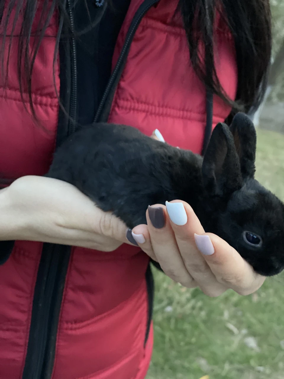 Прокотився до Полтави