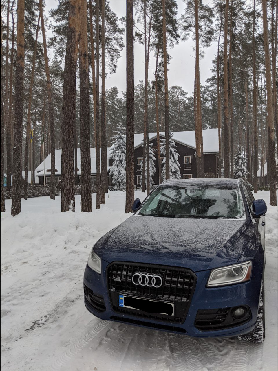 5. Quattro і моє сиве волосся. 2