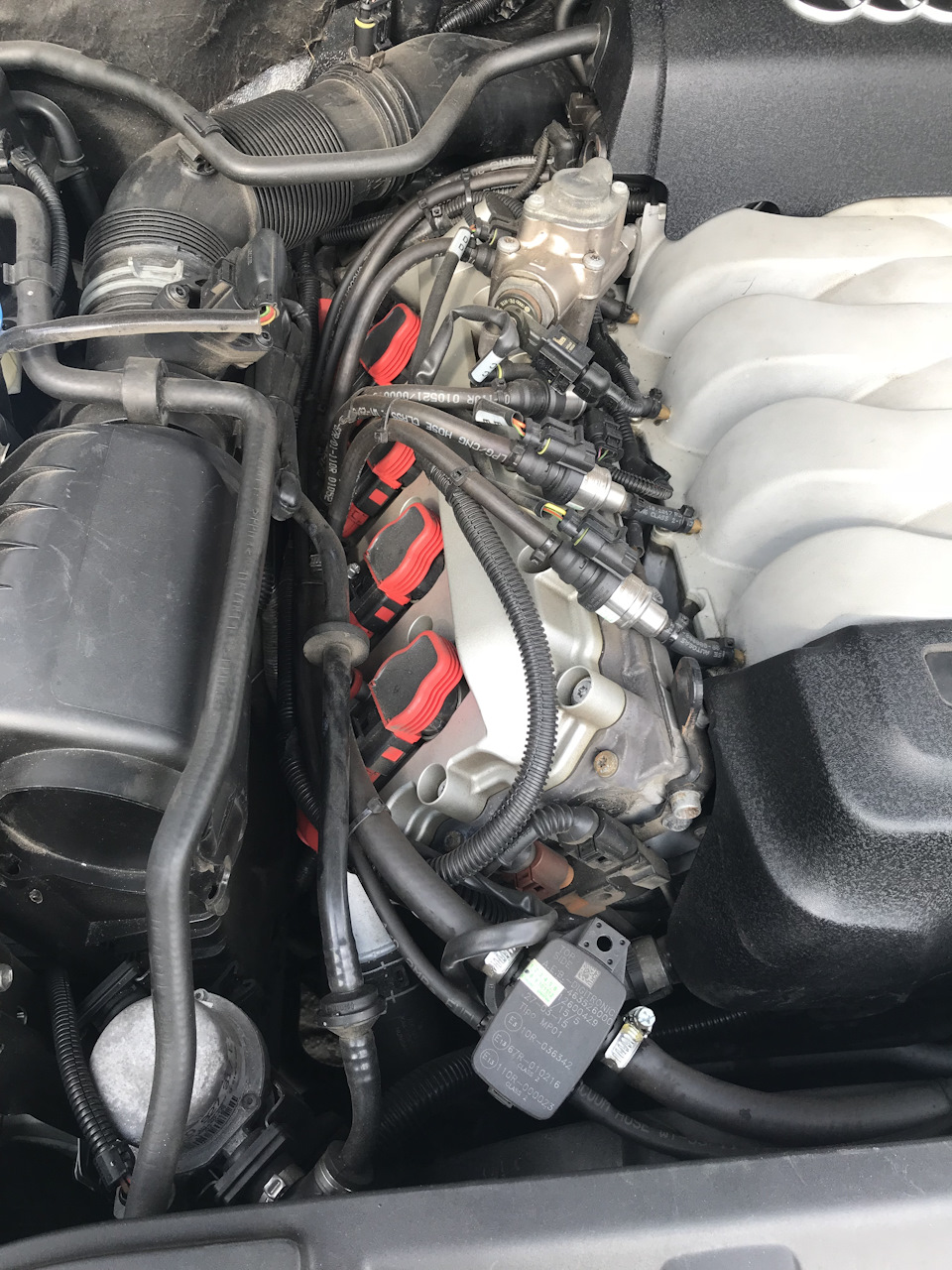 Встановлення ГБО на Audi q7 4,2 fsi 4