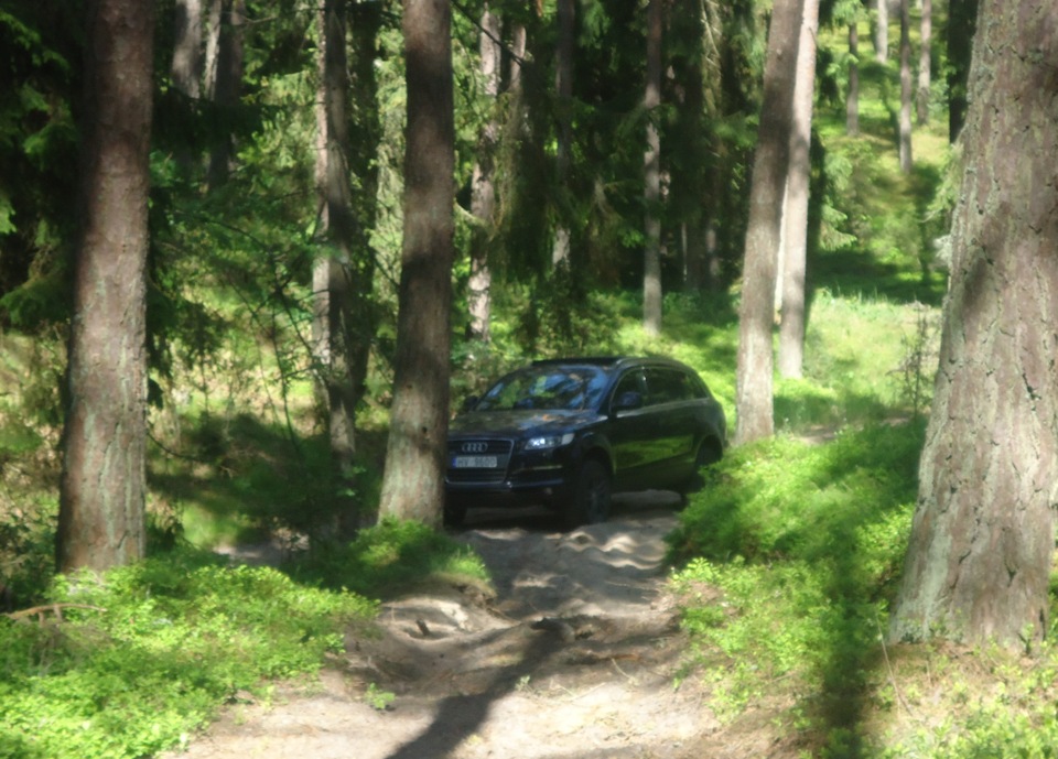 легка прогулянка OFF-ROAD 5