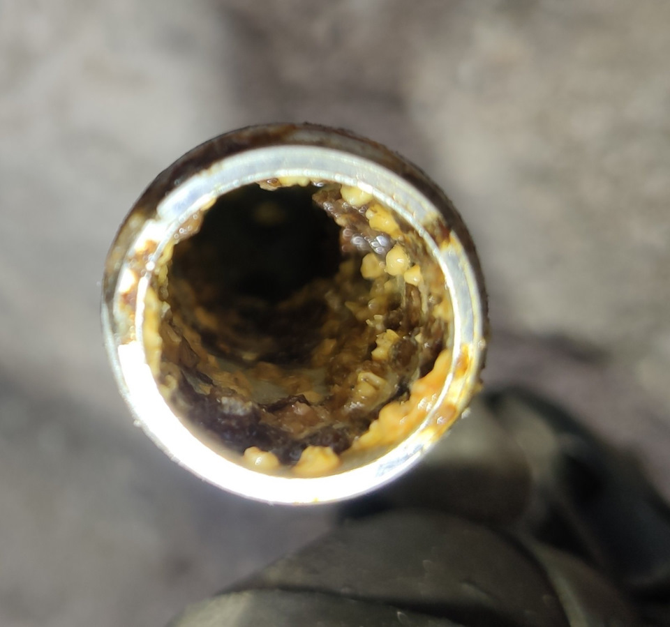 Чистіть вебасто! 2
