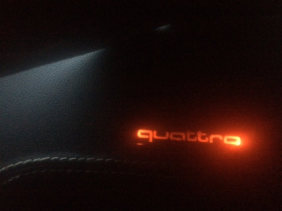 Quattro і черепок 2