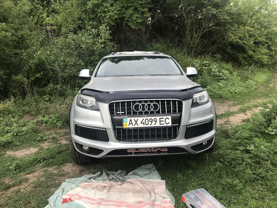 Вступив до спільноти Quattro) 3