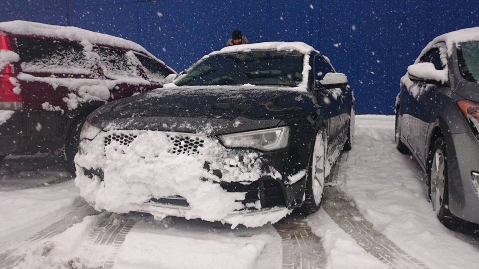 Територія quattro))) 1