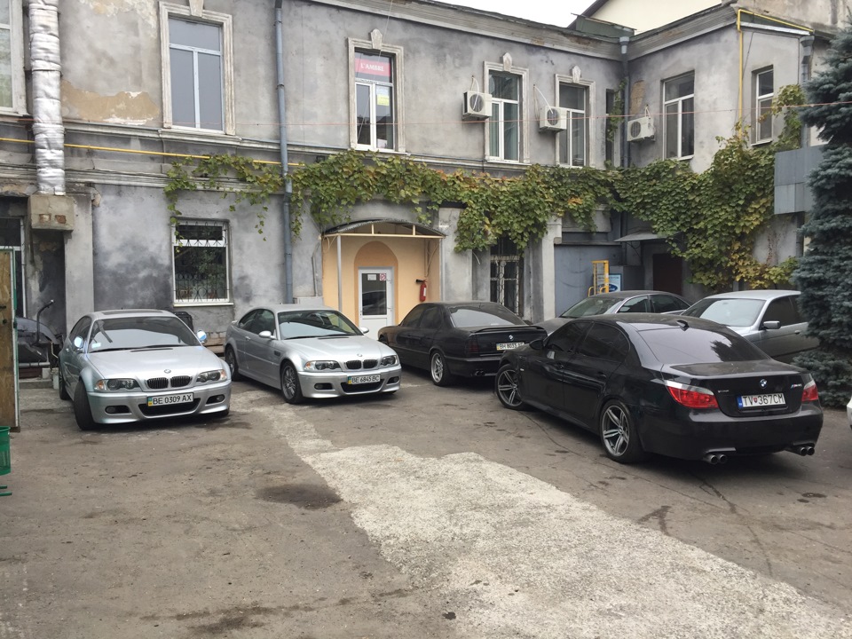 Пара свіжих фото 4