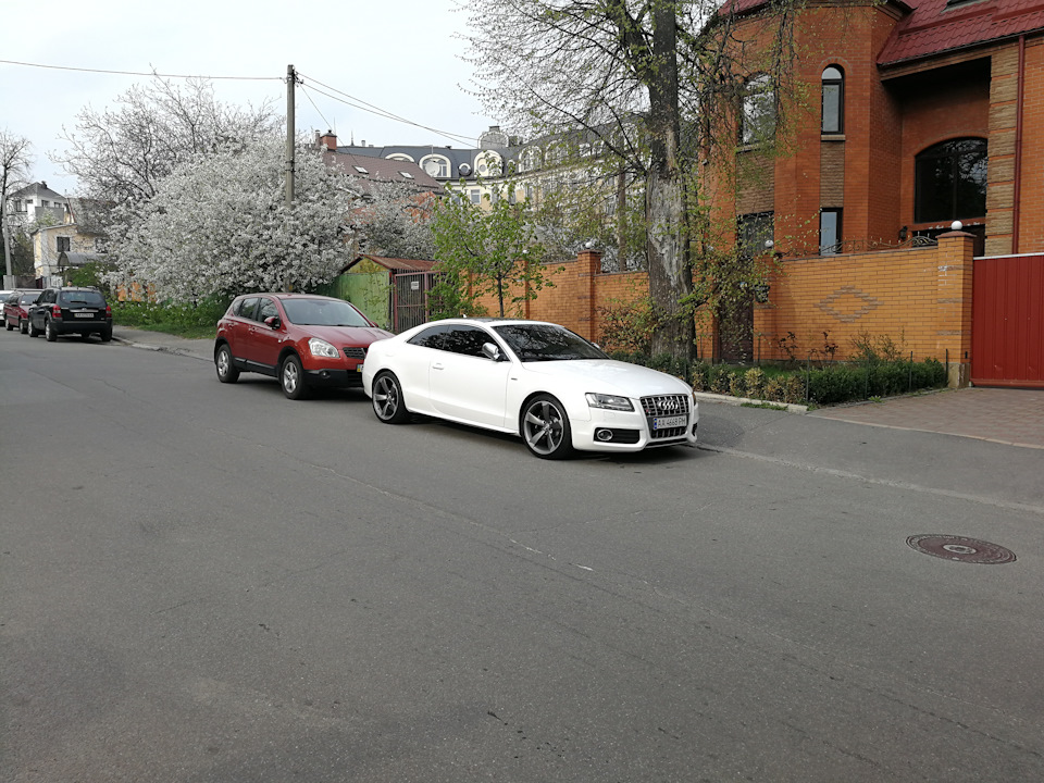 Продам ластівку 2