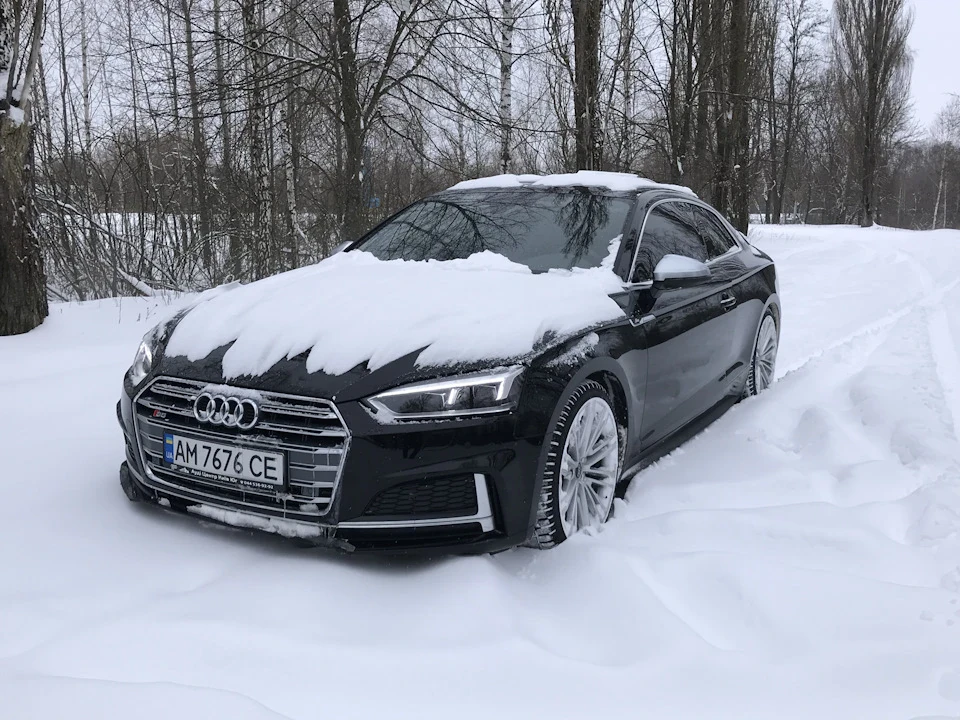 Люблю зиму на початку літа