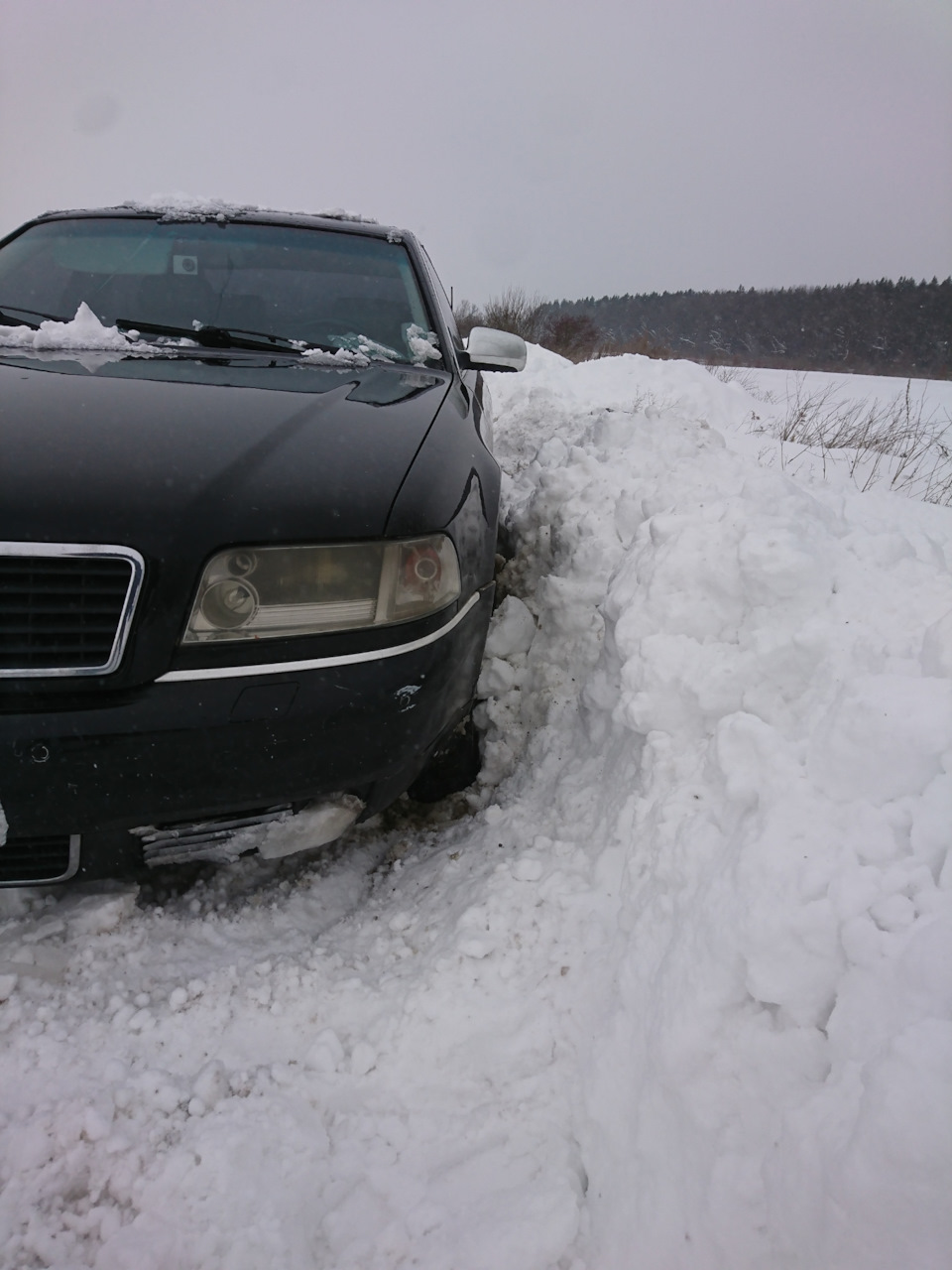 quattro сила 💪 2