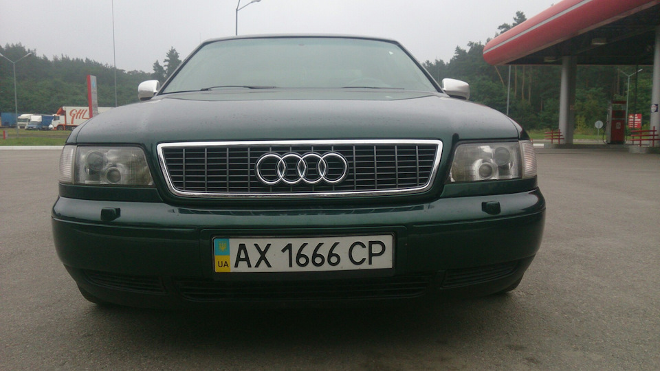 Зимова сітка 1
