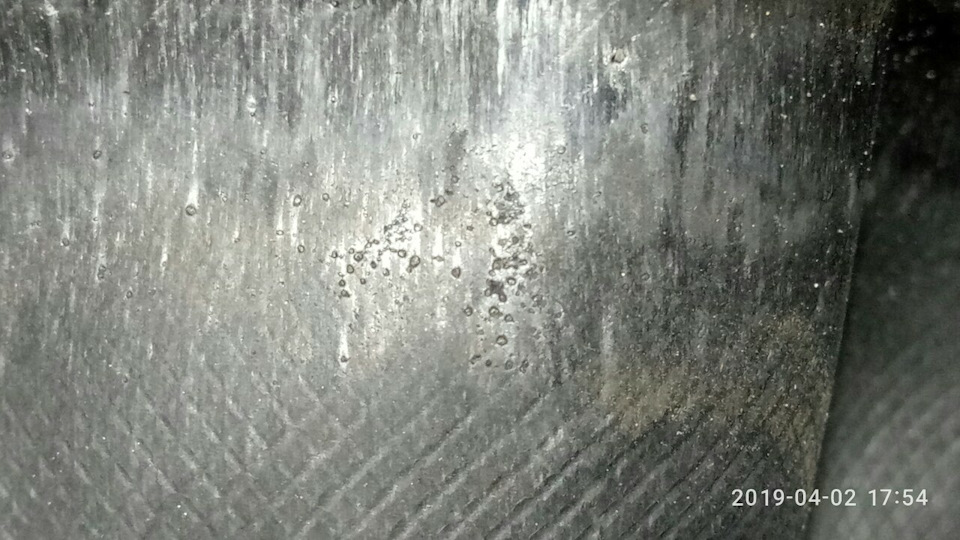 Впевнено стояти на своїх... чотирьох 5