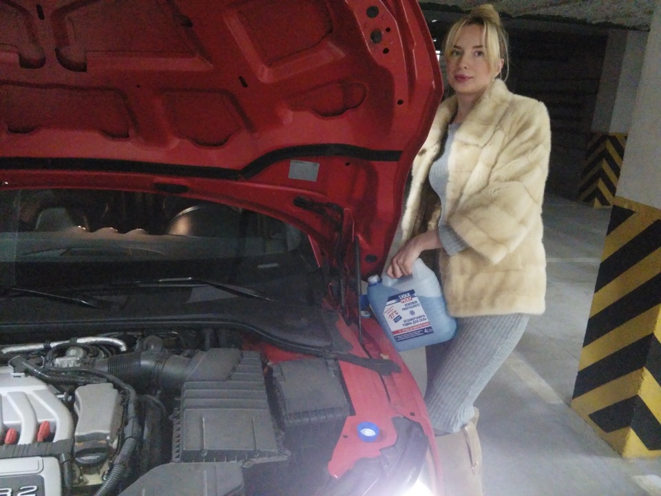 До морозів готові (Liqui Moly-незамерзайка). 2