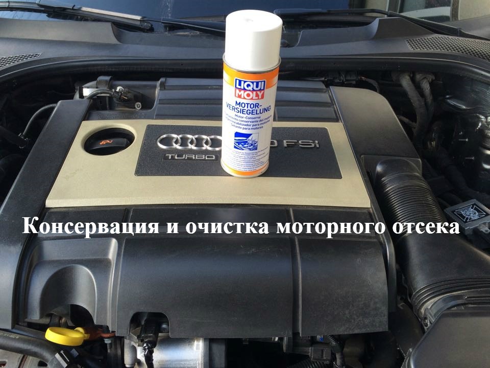 Консервація та очищення моторного відсіку Liqui Moly Spray 1