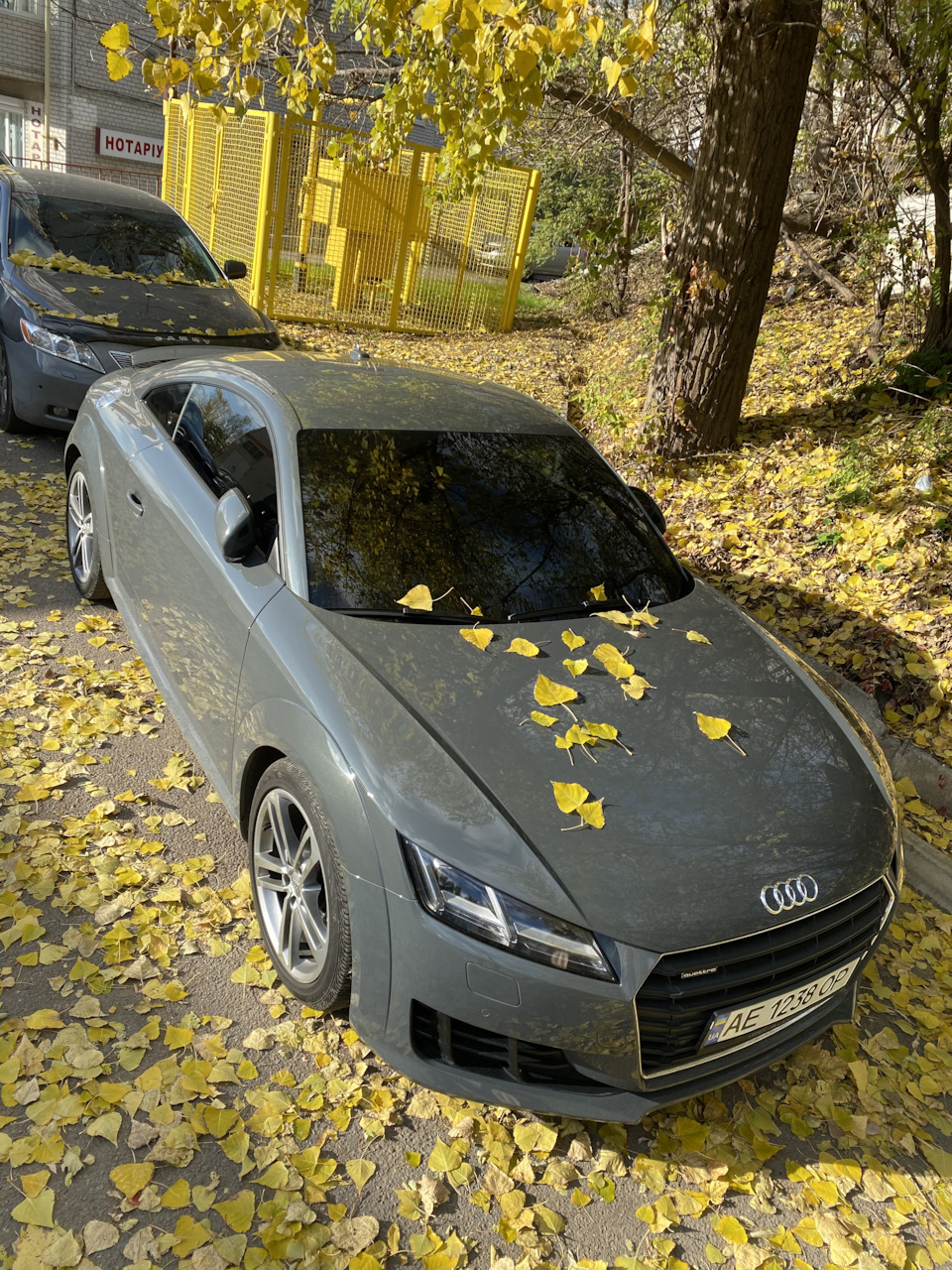 Дім 2