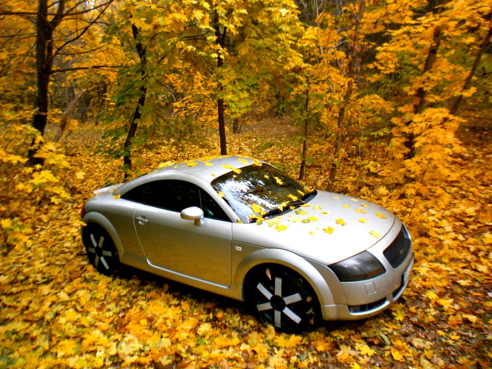 Фотки на день автомобилиста 1