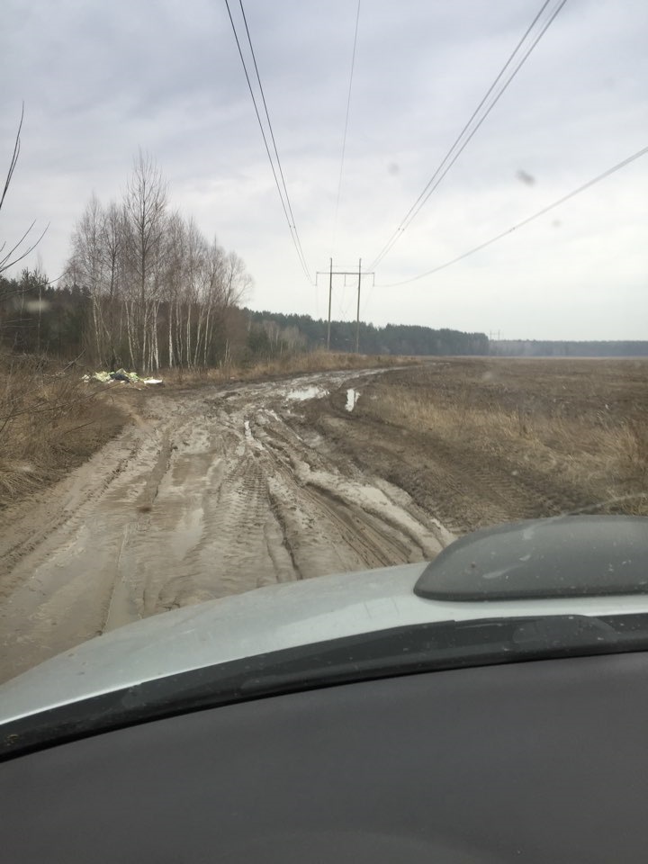 З'їздили до лісу постріляти 5