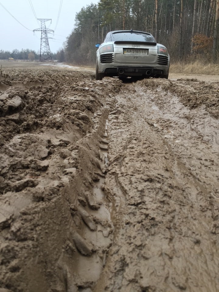 З'їздили до лісу постріляти 2