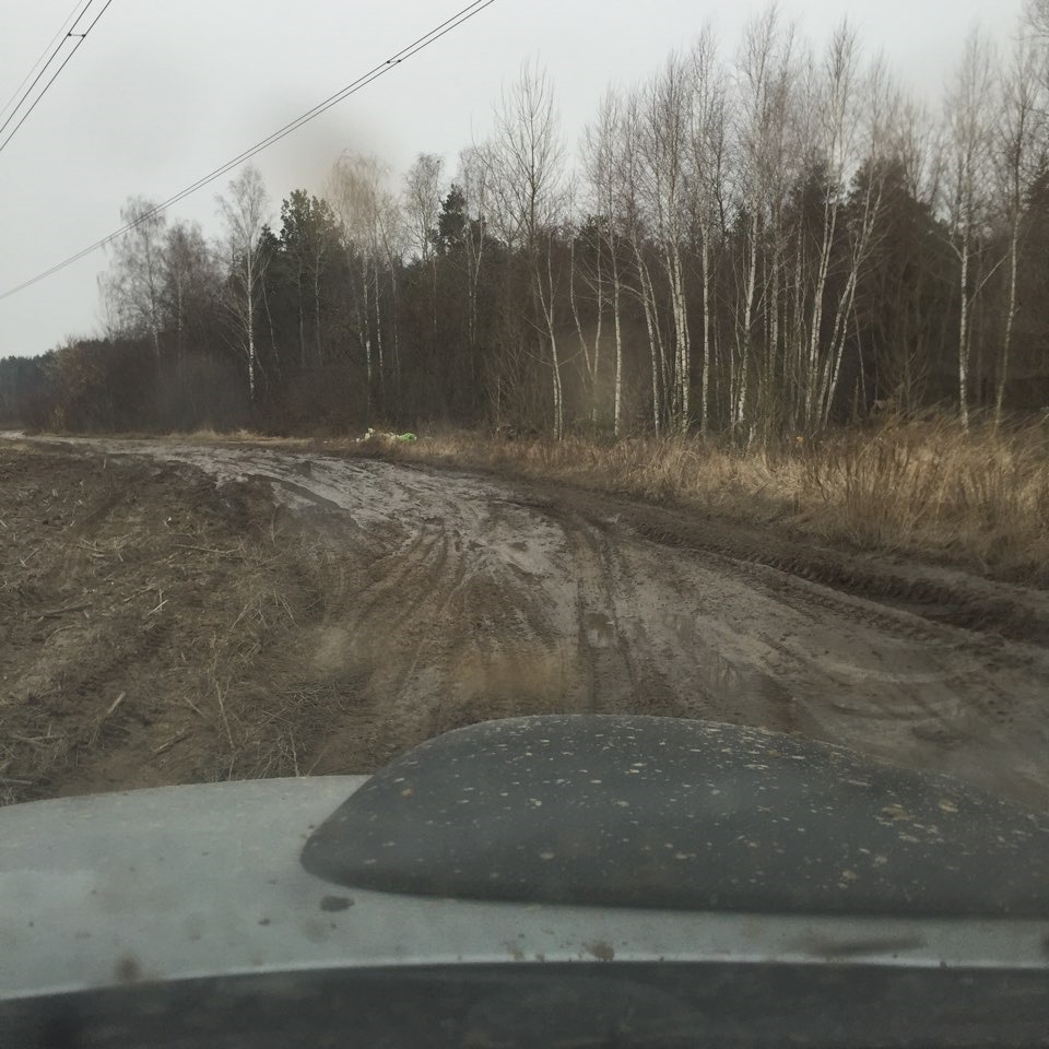 З'їздили до лісу постріляти 3