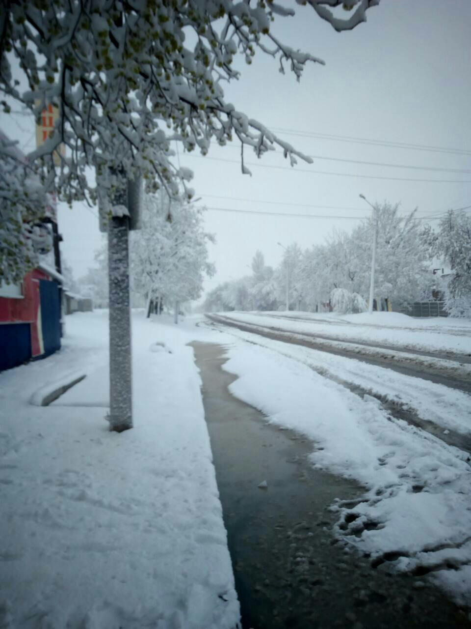 Харківська весна. 1