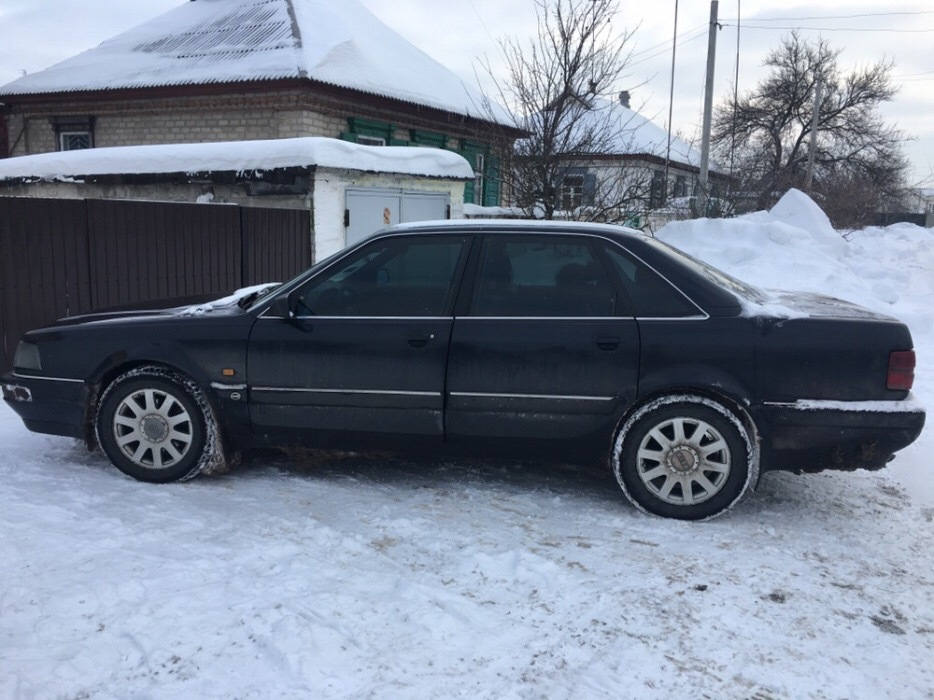 Audi v8 Blauwal 1