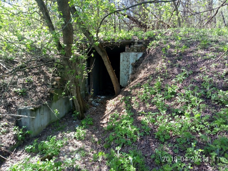 Просто весна и красота. 1