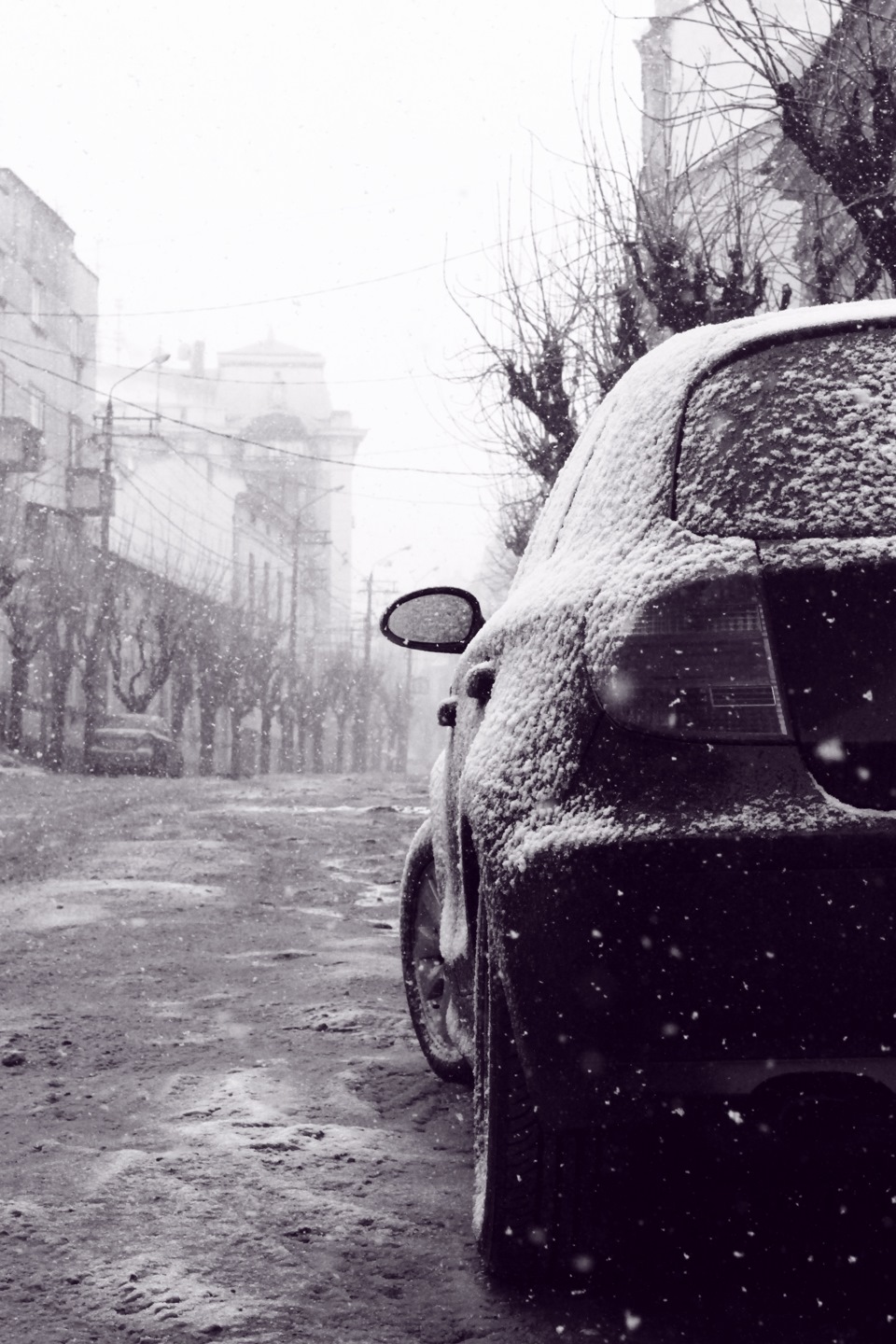 Квітневий фотосет 2