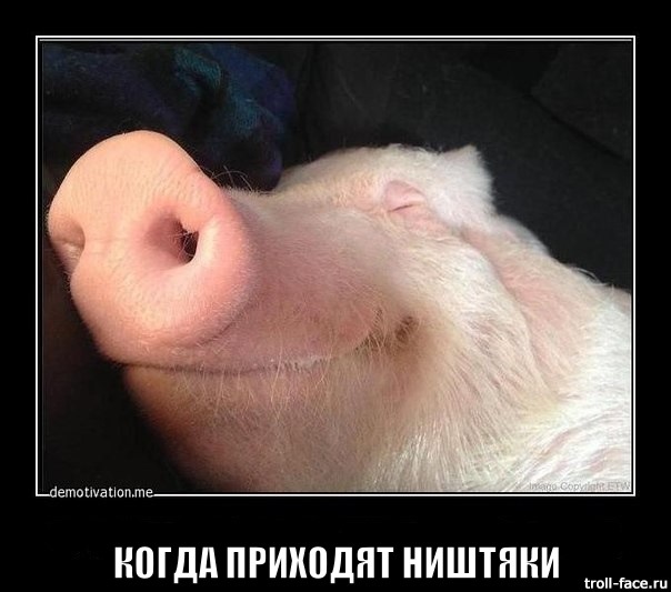 Сітка в ноги пасажира. 4