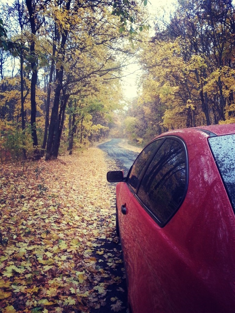 Визначився з олією. 2