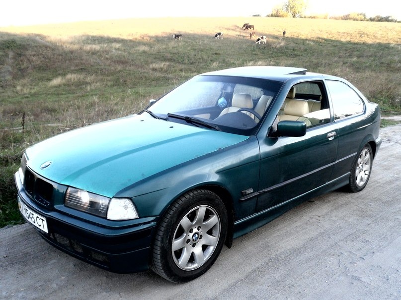 фото))) 1