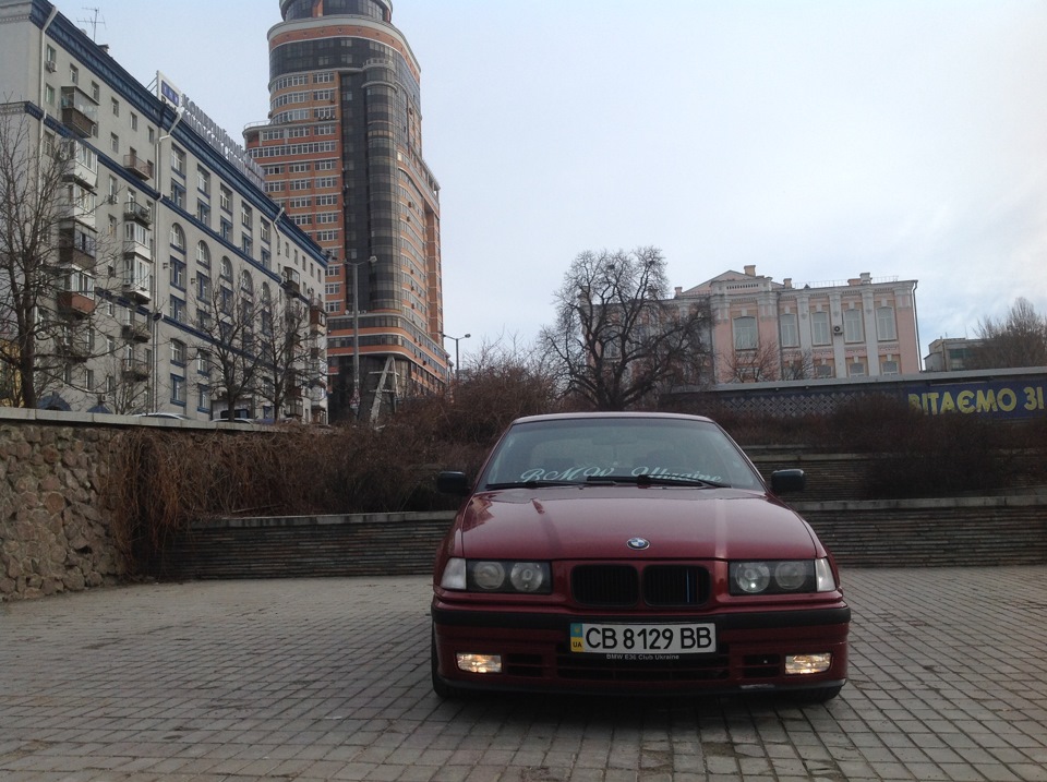 Пару свіжих фоток 3