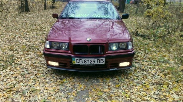 зима на штампах r16 1