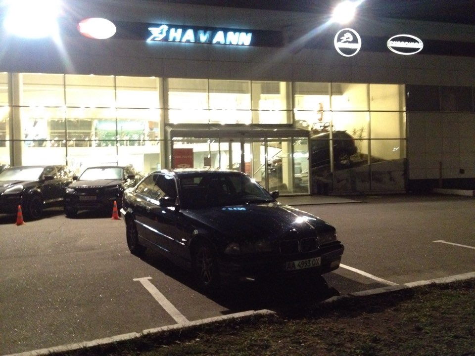 Hamann 1