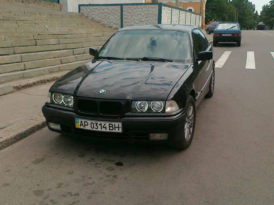 Продам свою малечу в хороші руки)) 1