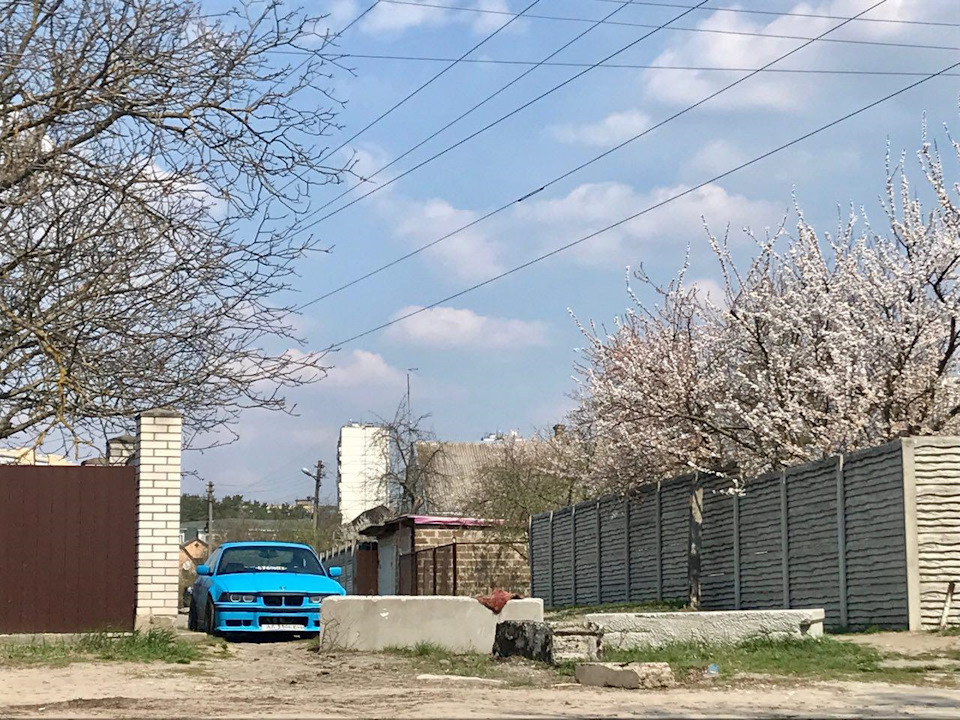 Кінець коробці, міні-ніштяк з кабра, підфарбування 1