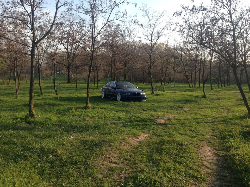 Пару свіжих фоток 3