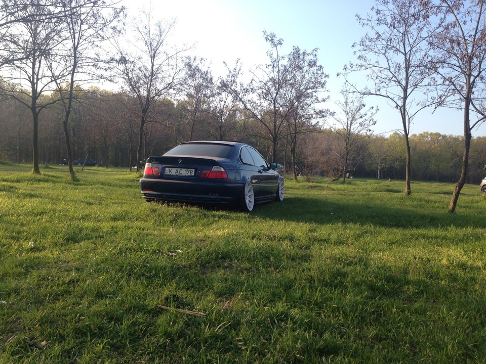 Пару свіжих фоток 2