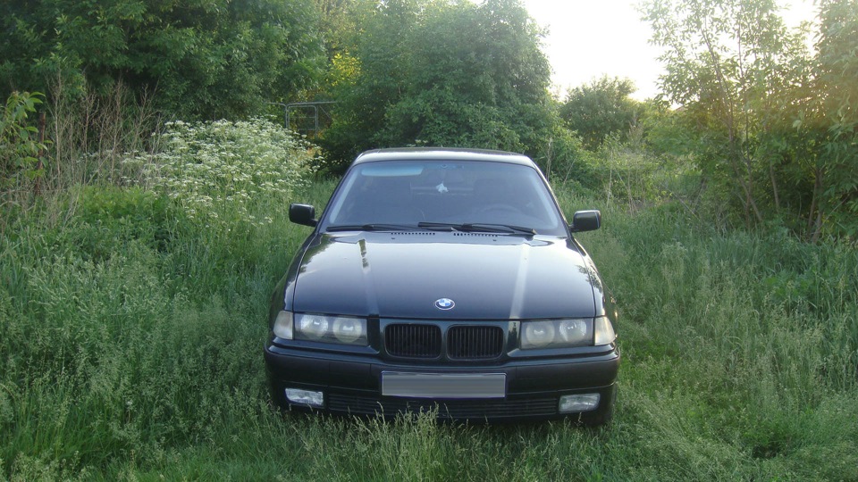 # 5.05 2014-2015. Рівно рік на E36 Coupe. Підсумки /// 1