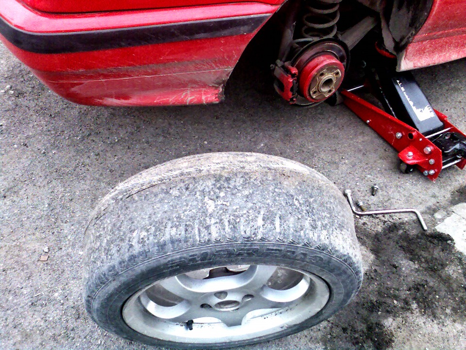 Переобув добиту різу 2