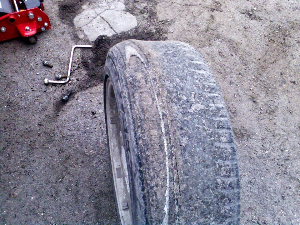 Переобув добиту різу 1
